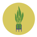 VP2025_picto_plante_verte